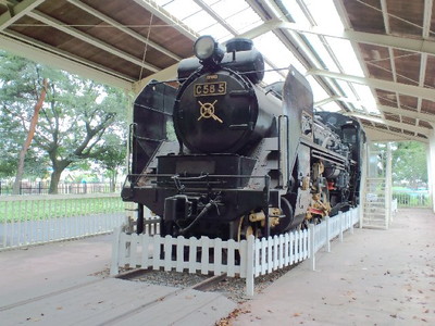 C58-5