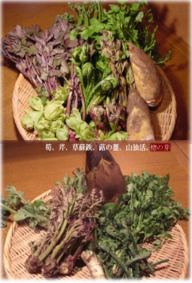 山菜縦長