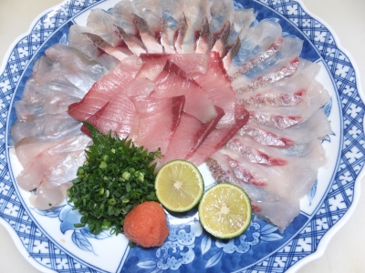 DSCF2432.JPG