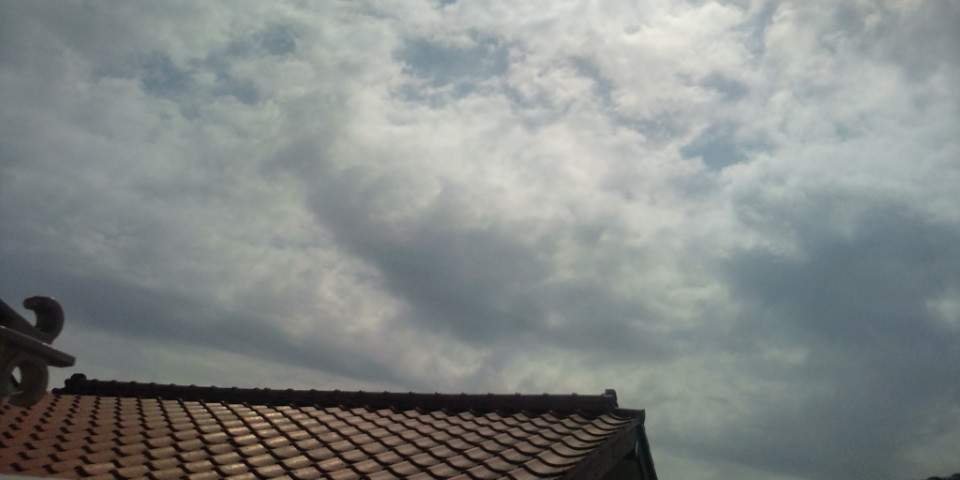 20100317110642.jpg