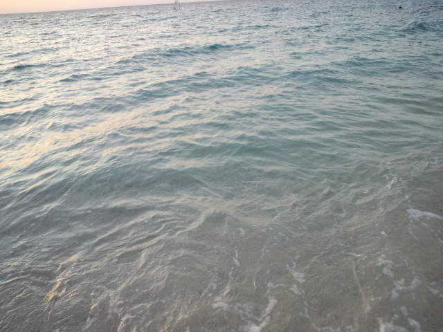 CA3F0141.jpg