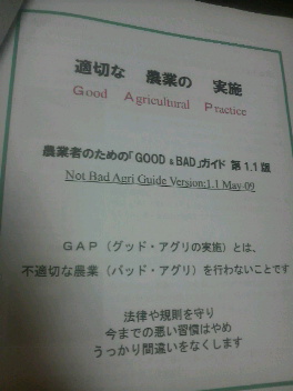 2010030500360000.jpg