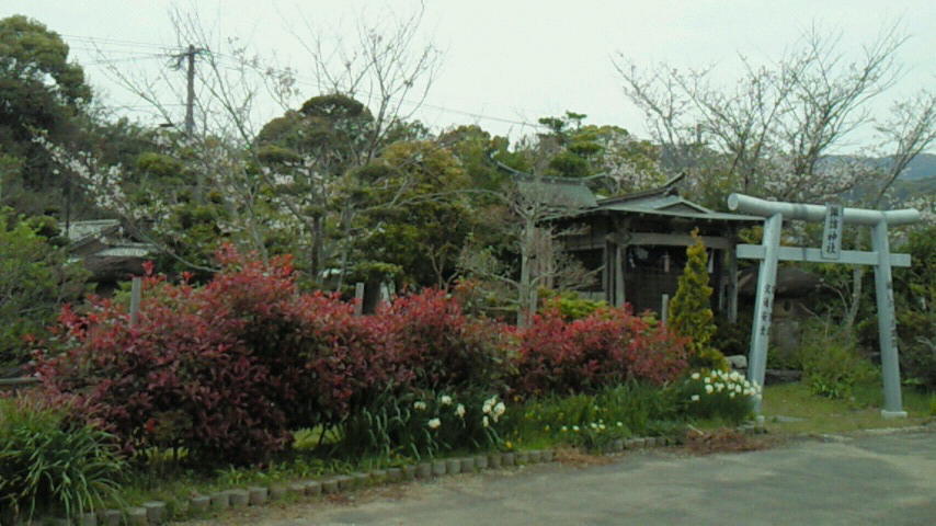 201004041552001.jpg