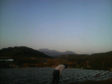 2010040518110001.jpg