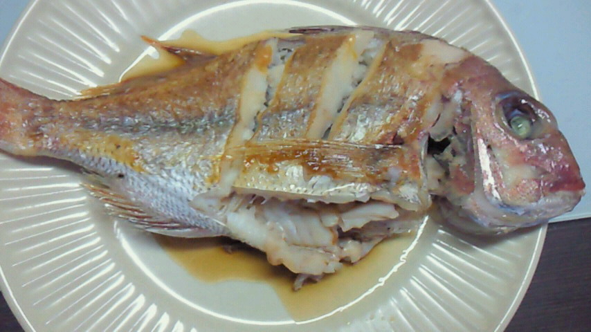 201004081836000.jpg