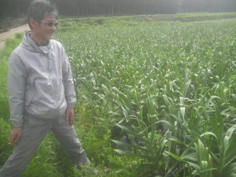2010042722070000.jpg
