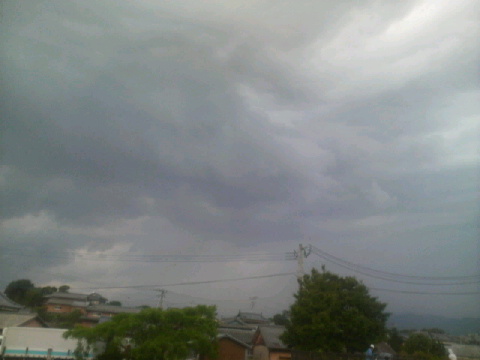 2010060115590001.jpg