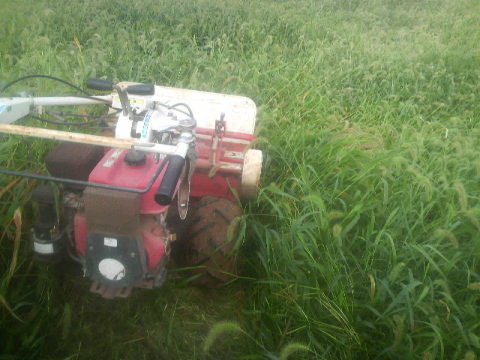 2010080408110000.jpg