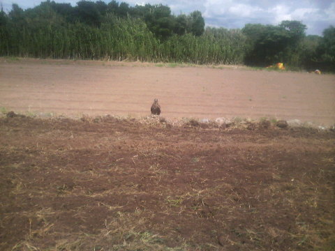 2010081714140000.jpg