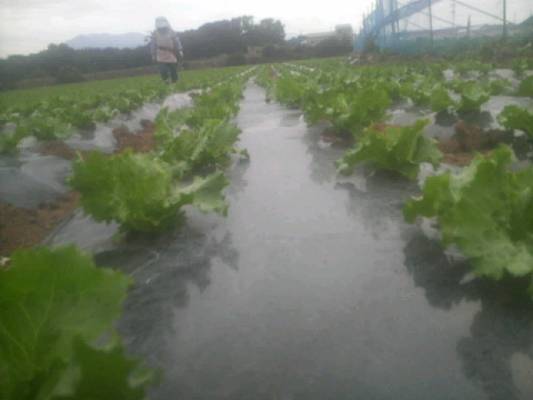 2010101300360000.jpg