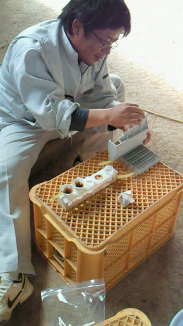 2010101405290000.jpg