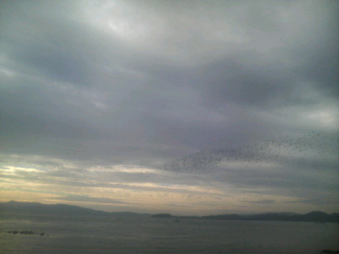 2010103019480000.jpg