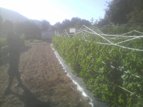 2010112503330000.jpg