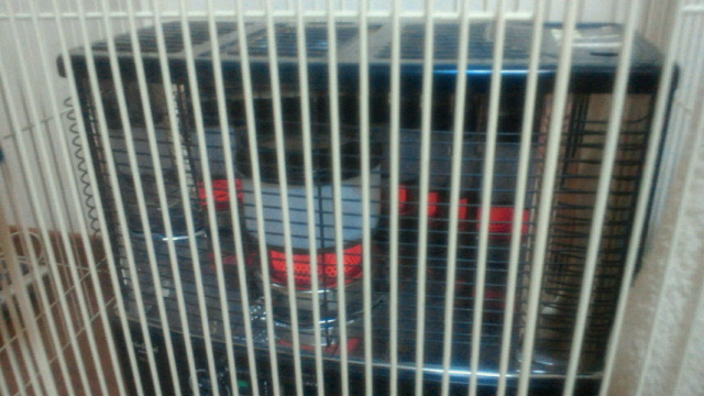2010121521290000.jpg