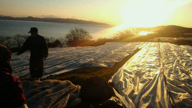 2011011723210000.jpg