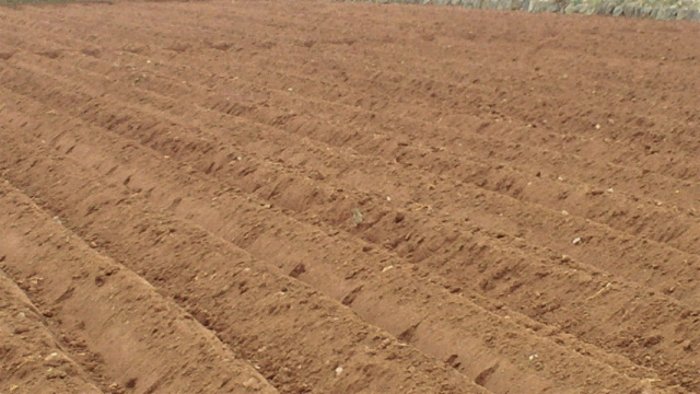 2011012902220000.jpg