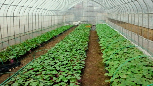 2011032108150000.jpg