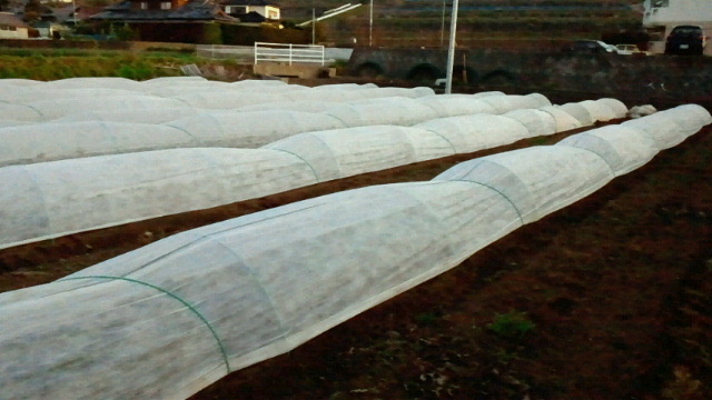 2011032420460000.jpg