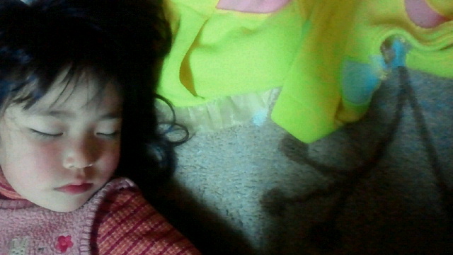 2011032521380000.jpg