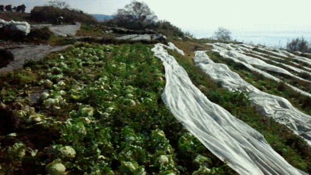 2011033022080000.jpg