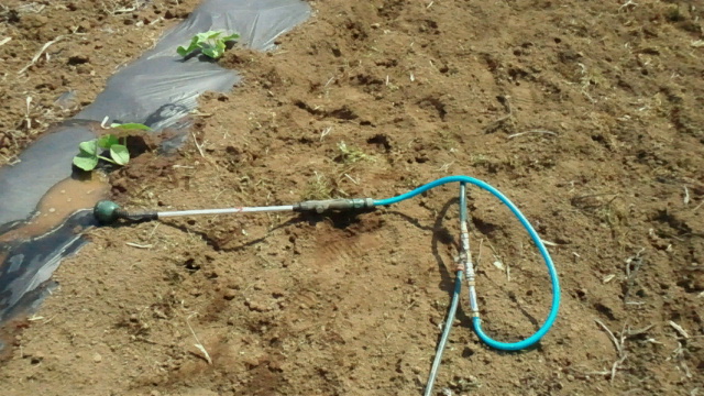 2011040106240000.jpg