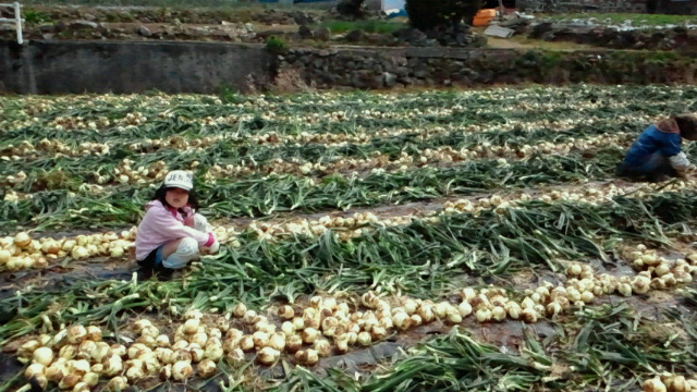 2011040222090000.jpg
