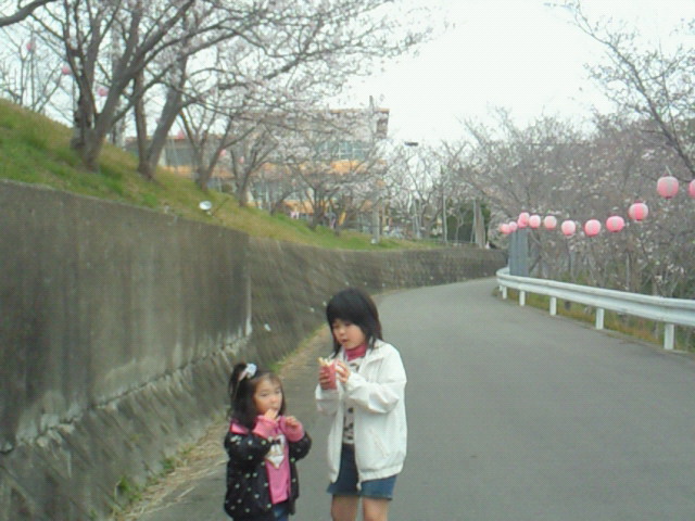 201104031241000.jpg