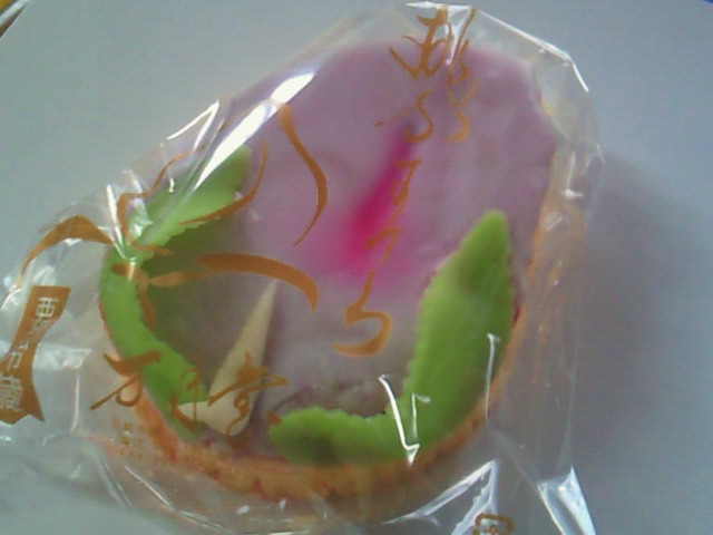 201103170736000.jpg