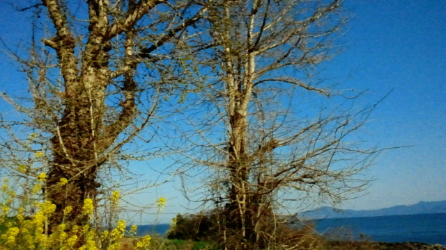 2011040904360000.jpg