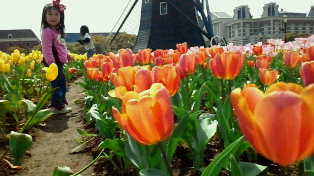 2011041100580000.jpg
