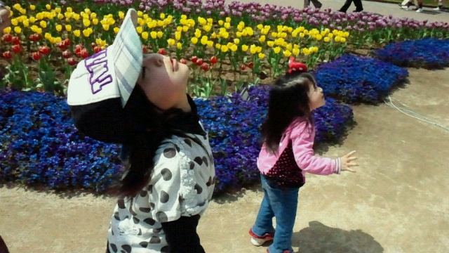 2011041101120000.jpg