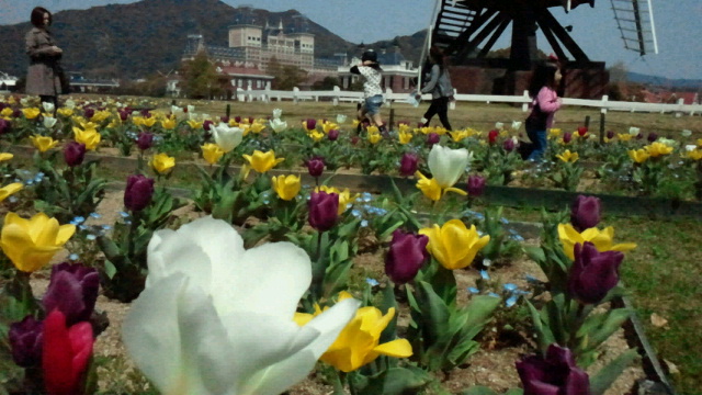 2011041101140000.jpg