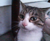 20051010_45119.jpg