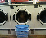 20060626_206071.jpg