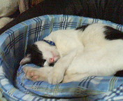 20060714_215120.jpg
