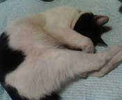 20060818_233791.jpg
