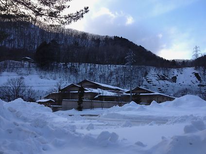 t_写真 (17).jpg