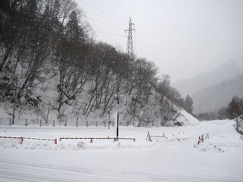 t_IMG_7541.jpg