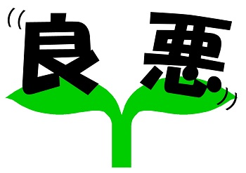 葉っぱ