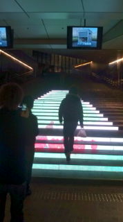 20100221194526.jpg