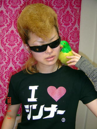 ¥·¥óTÃåÍÑ¥¤¥á¡¼¥¸¥Ã¥Ã¡ª¡ª