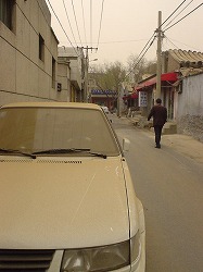 kousa