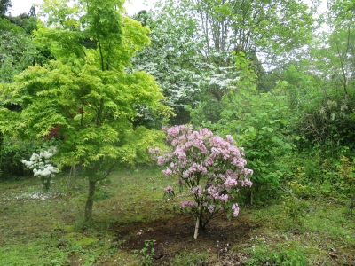 植吉現場日記