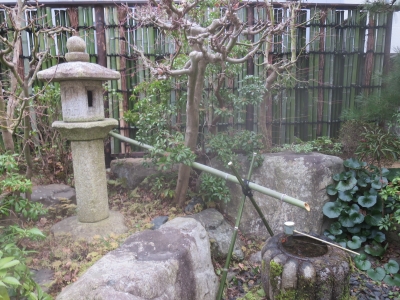 goat 鉢 GODZILLA 浅鉢 (S) 植木鉢