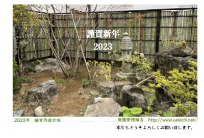 庭木売ります 現物確認後、要相談 五千円から2万 植吉