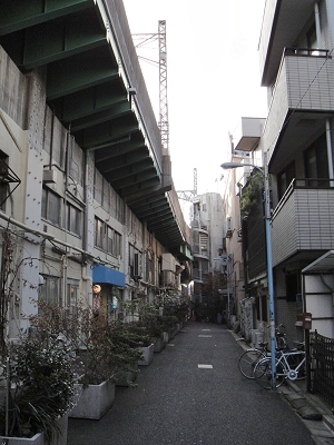20101120_43.jpg