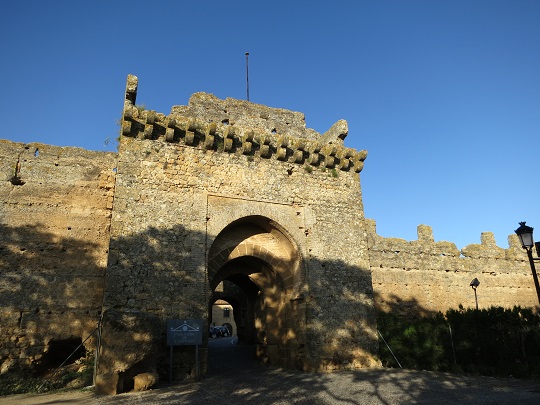 carmona (60).jpg