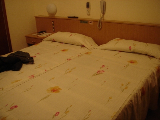 olot 001.jpg