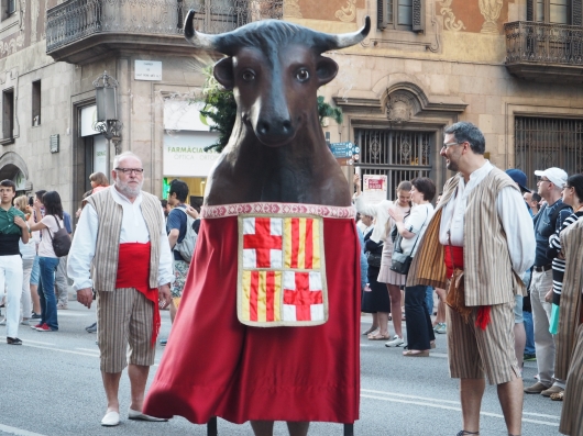 corpus (32).JPG