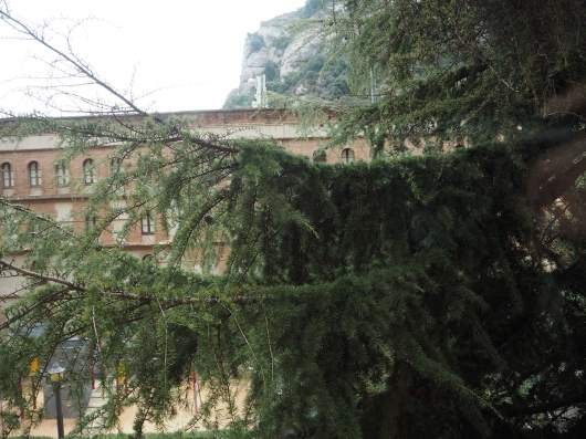 PC030218.JPG